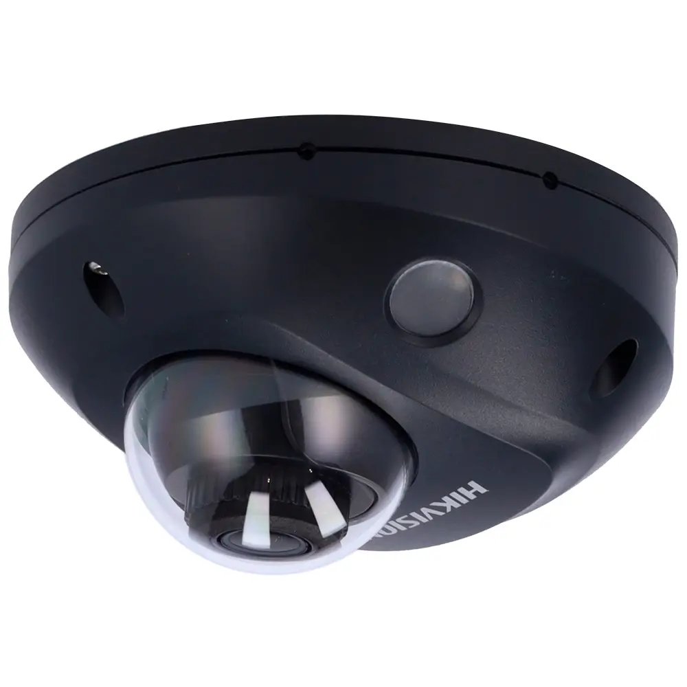 DS-2CD2543G2-LIS2U(2.8mm)/BLACK