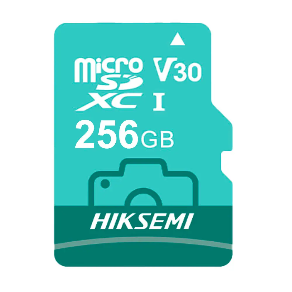 HS-TF-D3STD/256G/NEO LUX/WW
