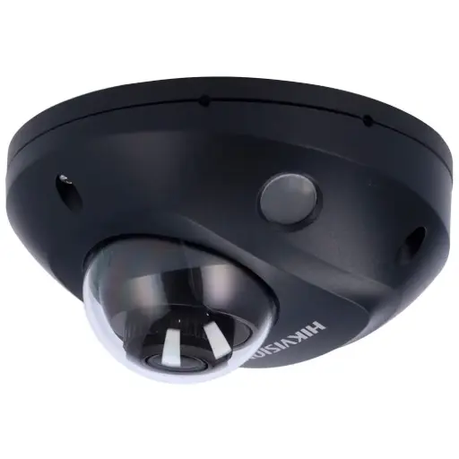 DS-2CD2543G2-LIS2U(2.8mm)/BLACK