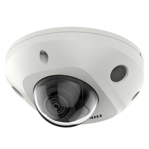 DS-2CD2546G2-IS